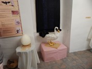 Výlet Dobrovice  Ptačí svět